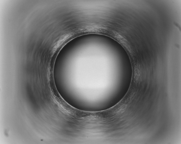 X0000100230578200805301414