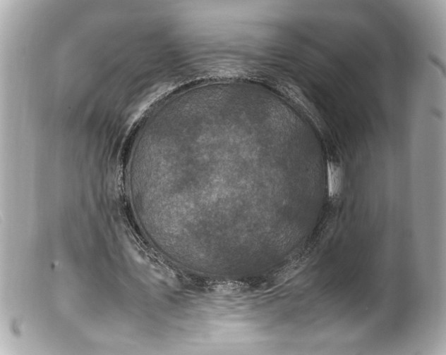X0000100230579200805301414