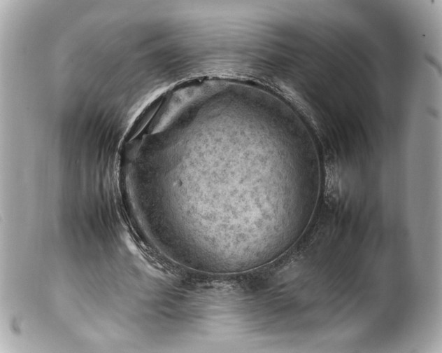 X0000100230580200805301414