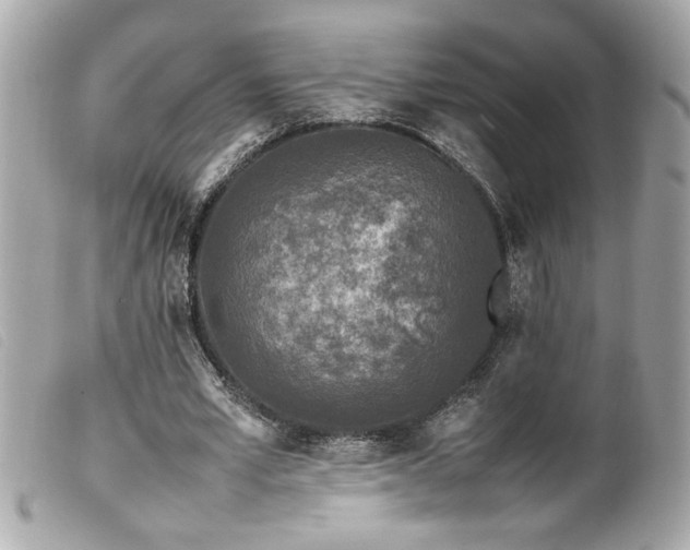 X0000100230581200805301414