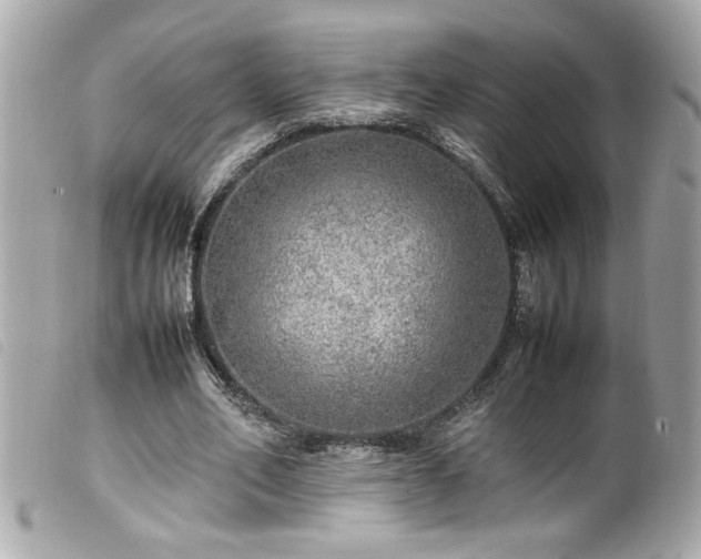 X0000100230582200805301414