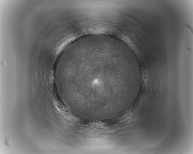 X0000100230583200805301414