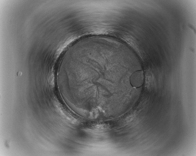 X0000100230584200805301414
