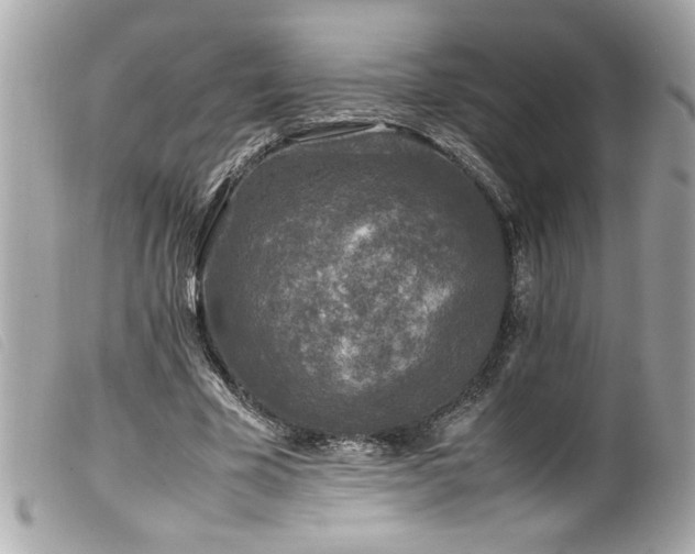 X0000100230585200805301414