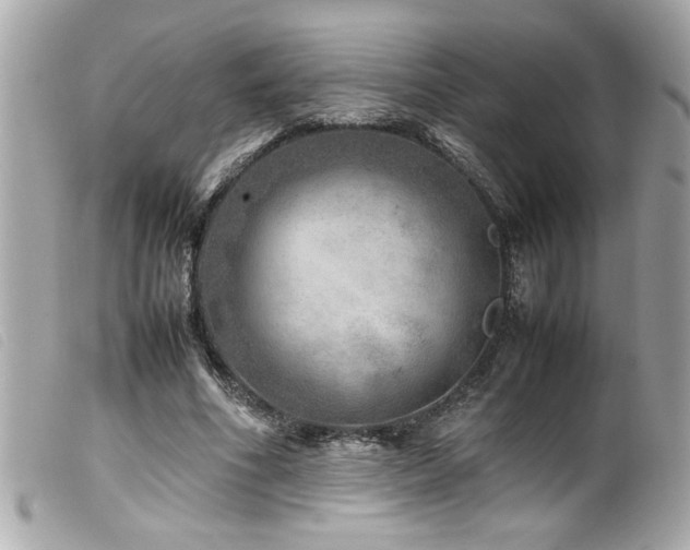 X0000100230586200805301414