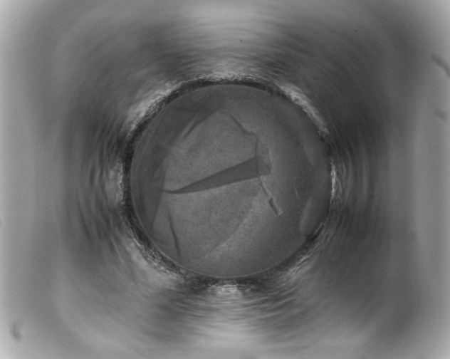 X0000100230588200805301414