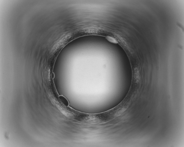 X0000100230589200805301414