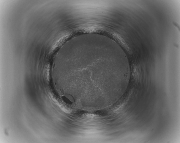 X0000100230590200805301414