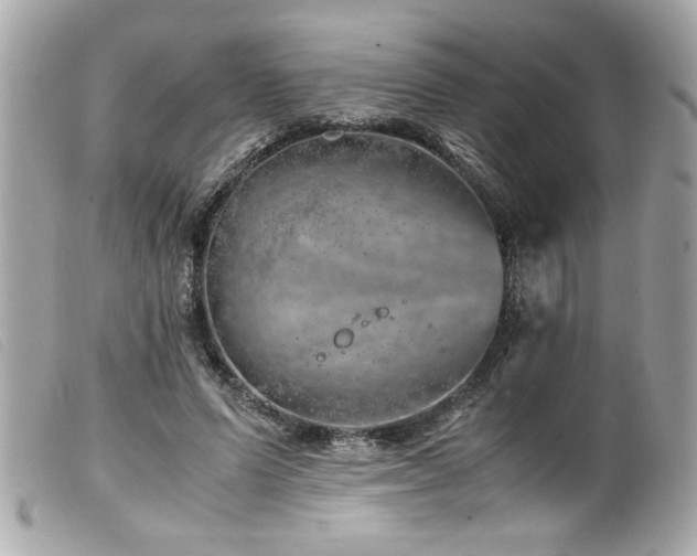 X0000100230591200805301414