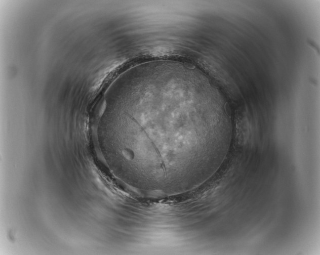 X0000100230592200805301414