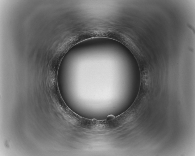 X0000100230593200805301414