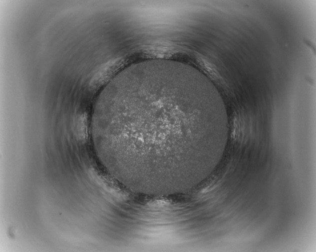 X0000100230594200805301414