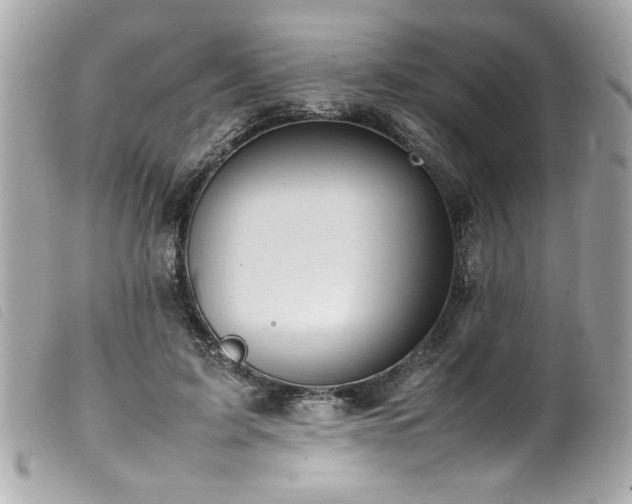 X0000100230595200805301414