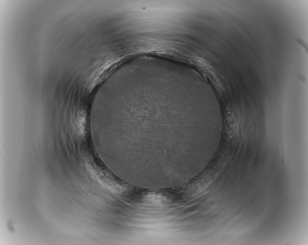 X0000100230596200805301414