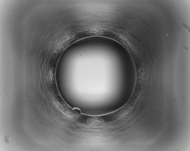 X0000100230597200805301414