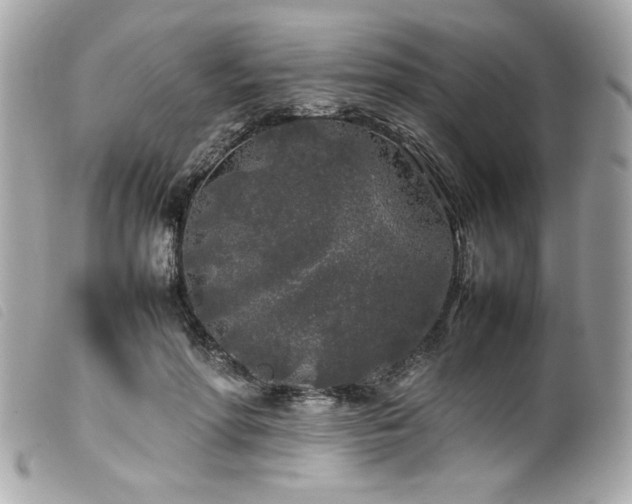 X0000100230598200805301414