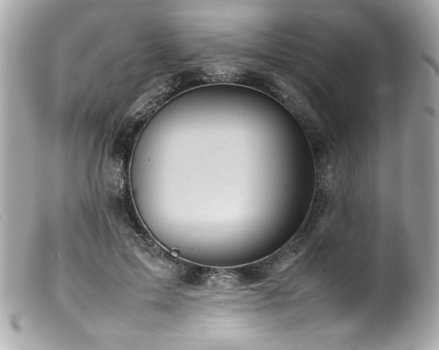 X0000100230599200805301414