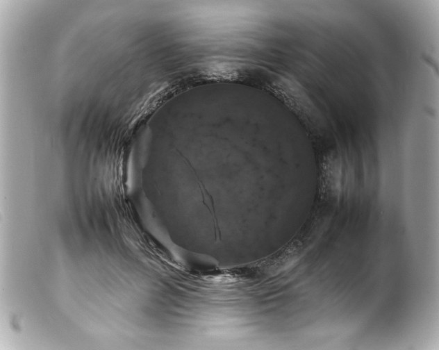 X0000100230600200805301414