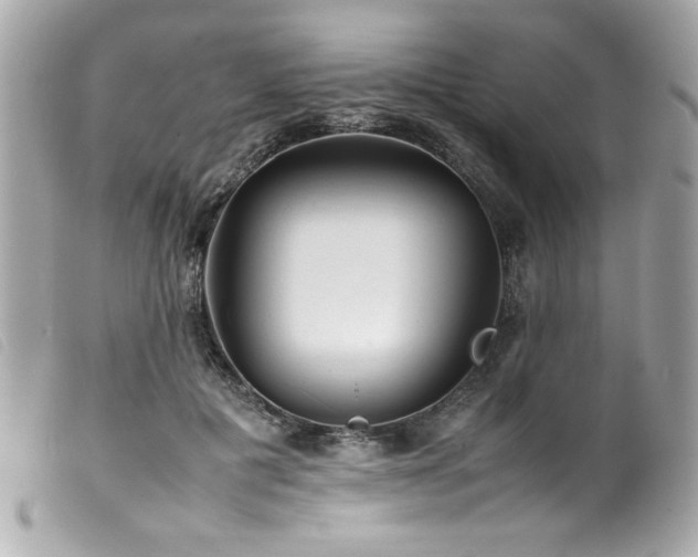 X0000100230601200805301414