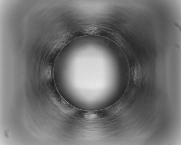 X0000100230602200805301414