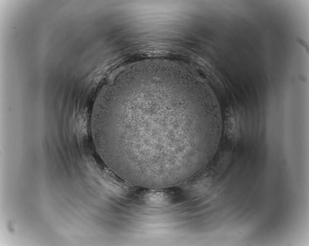 X0000100230604200805301414