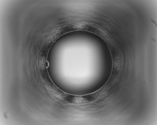 X0000100230605200805301414