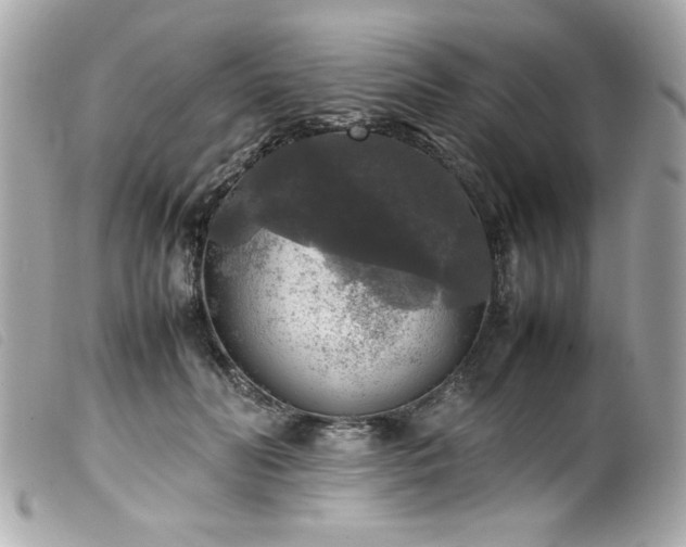 X0000100230606200805301414
