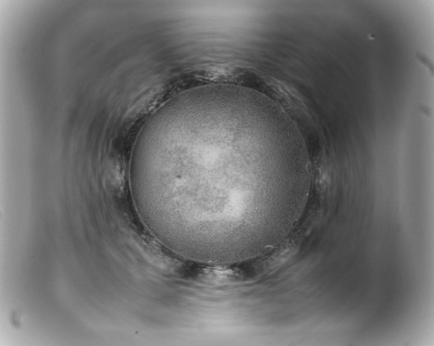 X0000100230607200805301414