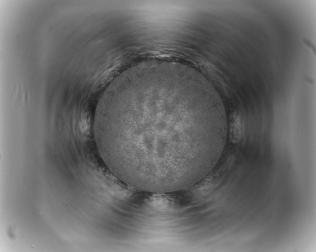 X0000100230608200805301414