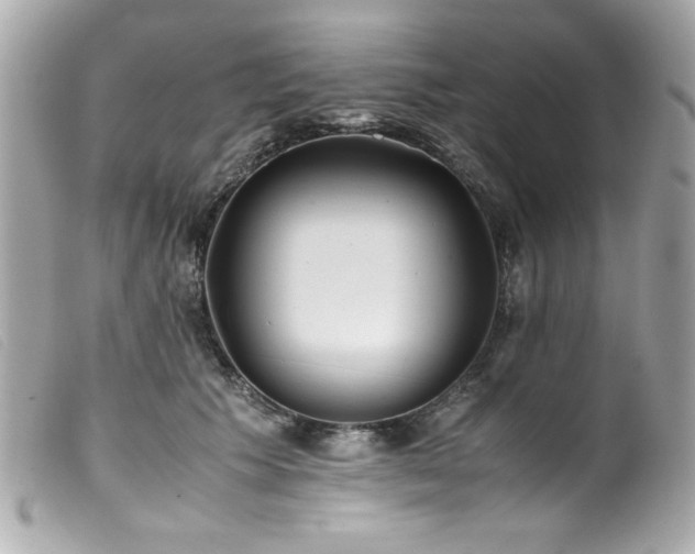 X0000100230609200805301414