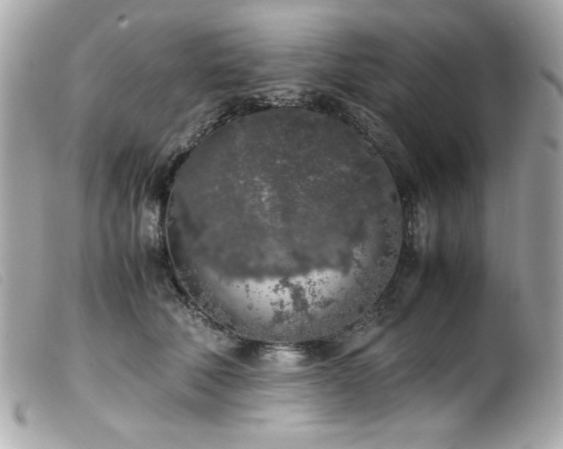 X0000100230610200805301414