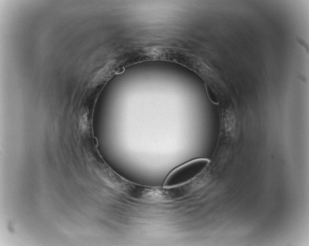 X0000100230611200805301414