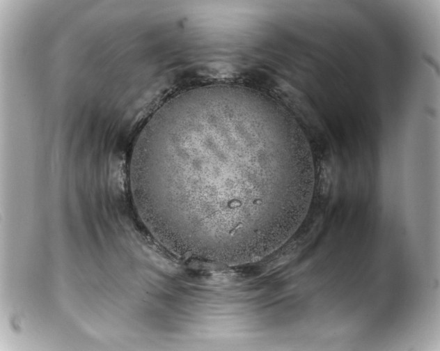 X0000100230612200805301414