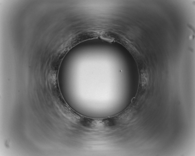 X0000100230613200805301414