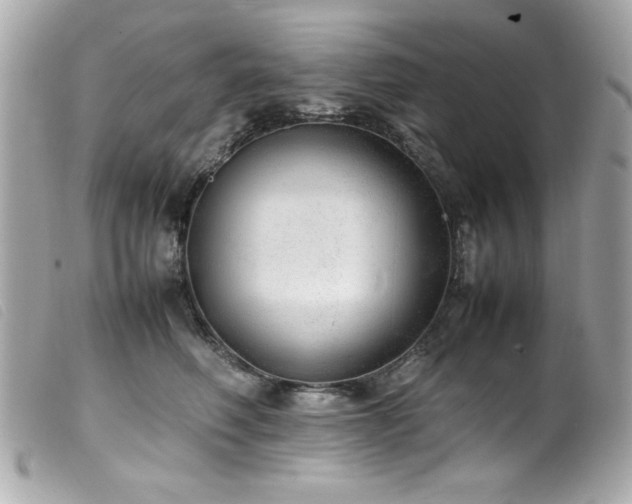 X0000100230614200805301414