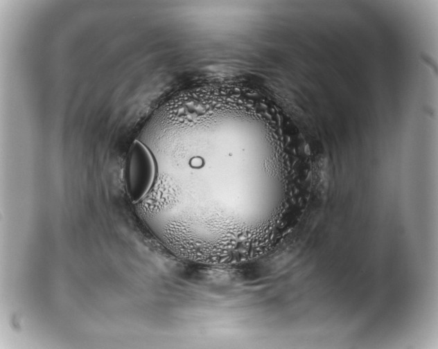 X0000100230615200805301414