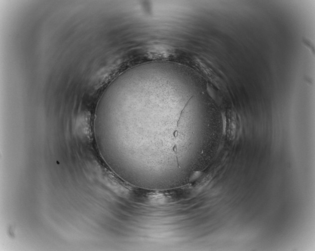 X0000100230616200805301414