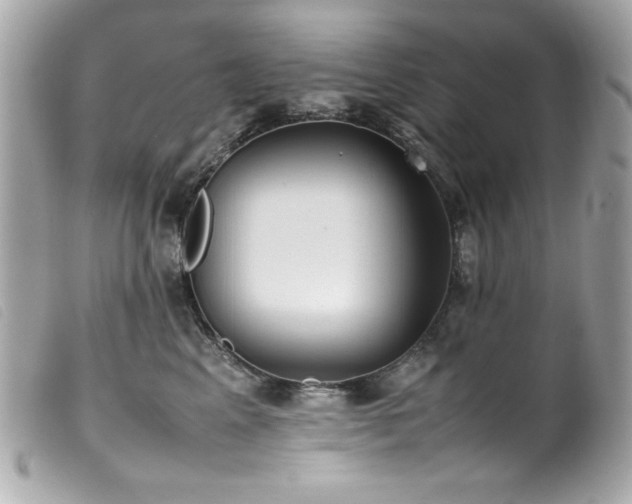 X0000100230617200805301414