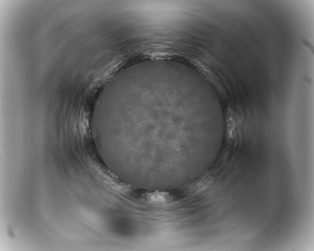 X0000100230618200805301414