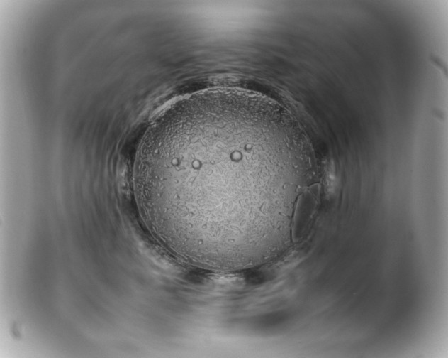 X0000100230619200805301414