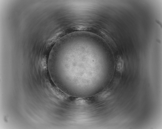 X0000100230620200805301414