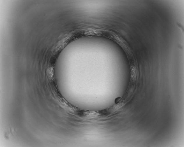 X0000100230621200805301414