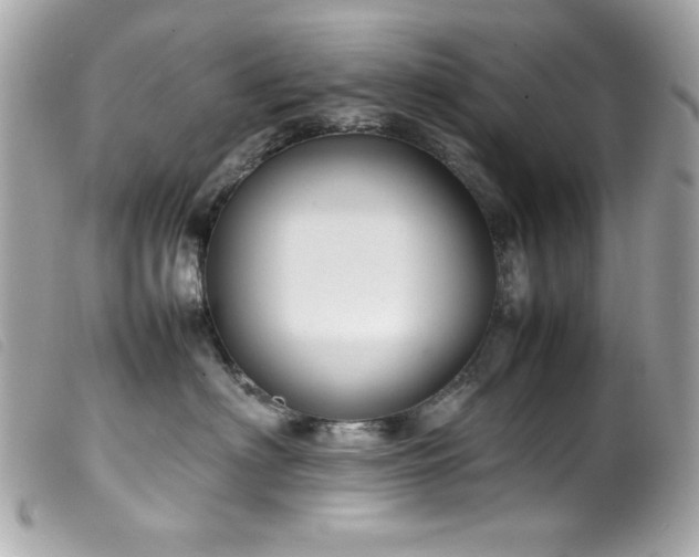 X0000100230622200805301414