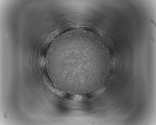 X0000100230623200805301414