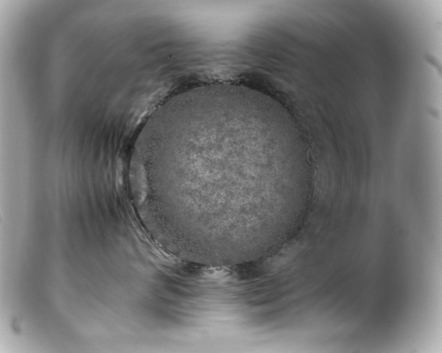 X0000100230624200805301414