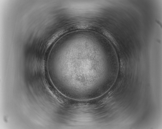 X0000100230626200805301413