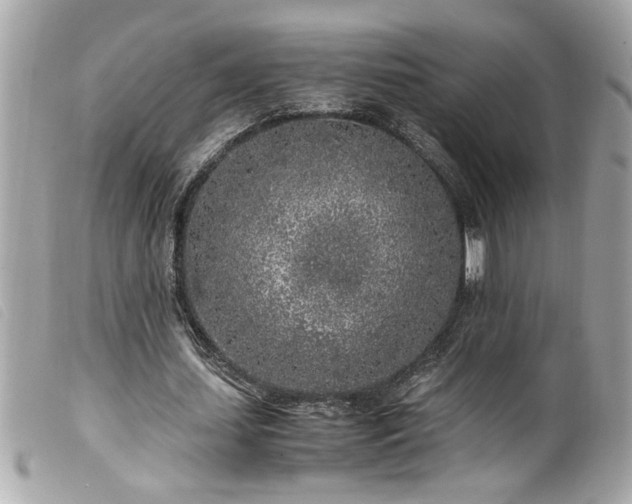X0000100230627200805301413
