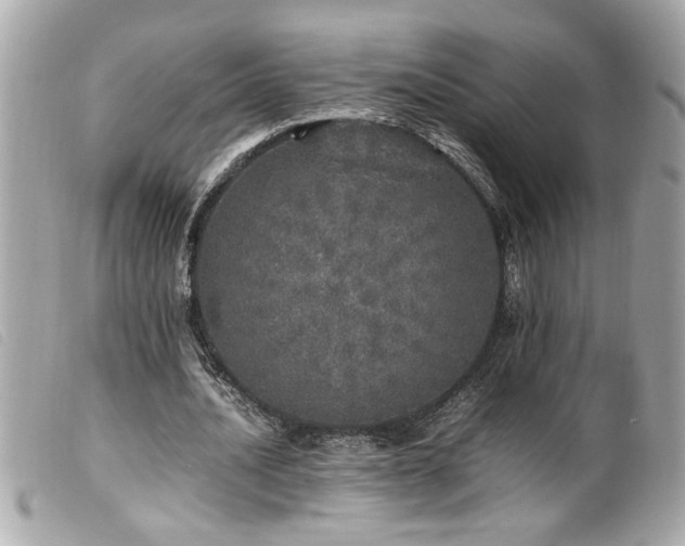 X0000100230628200805301413