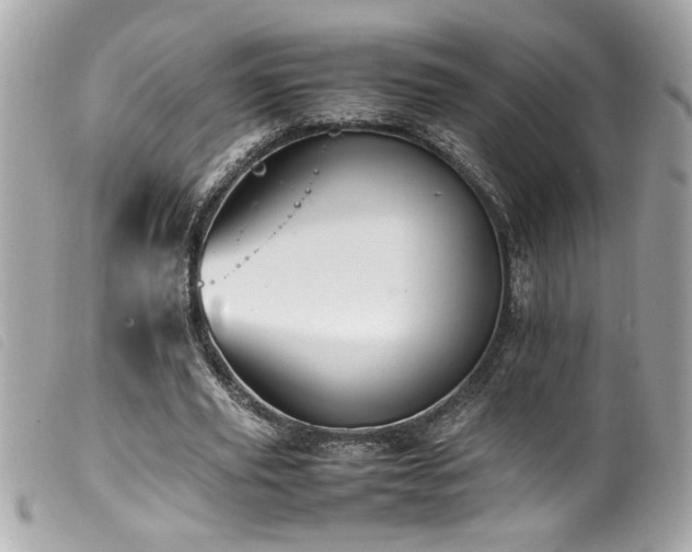 X0000100230629200805301413