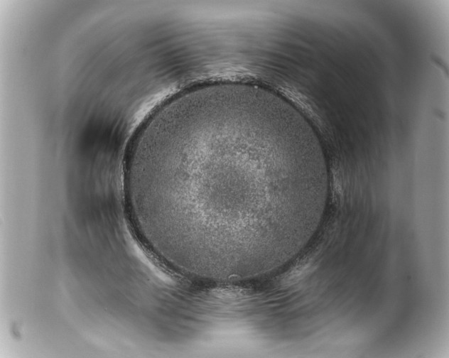 X0000100230630200805301413